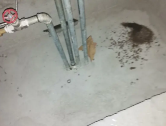 盘县卫生间测漏水价格明细