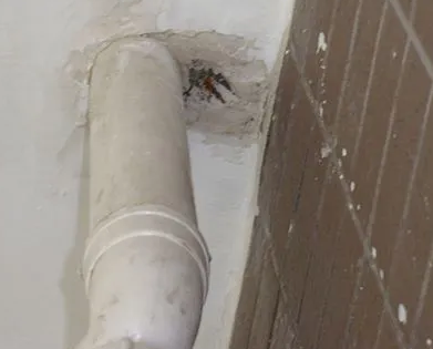 盘县漏水检测哪家好